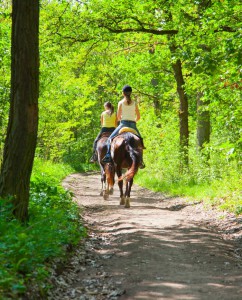 paseo-a-caballo-700x865