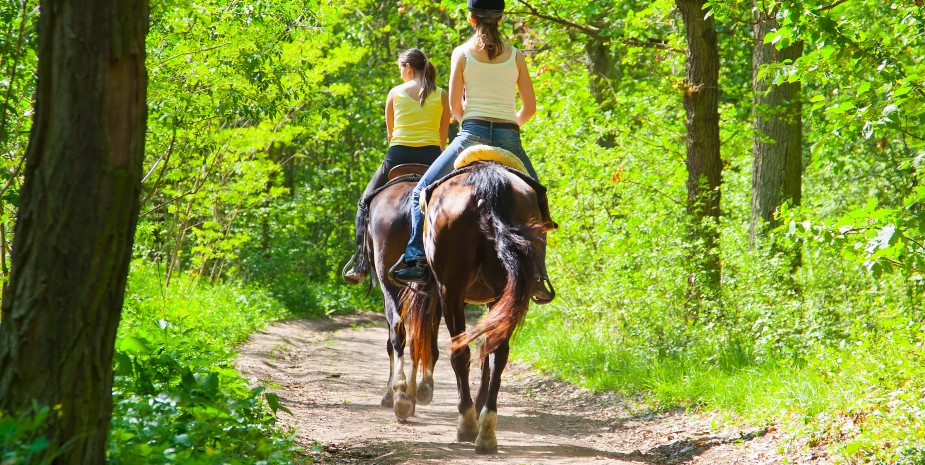 paseo-a-caballo-925x465